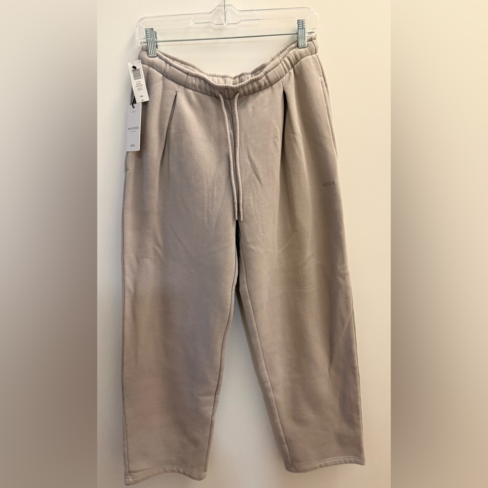 Aritzia Mega Pleated Sweatfleece Pants in Ashen